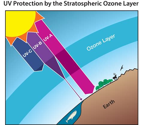 thickness of ozone layer is measured by|Q1 What is ozone, how is it formed, and where is it in the .